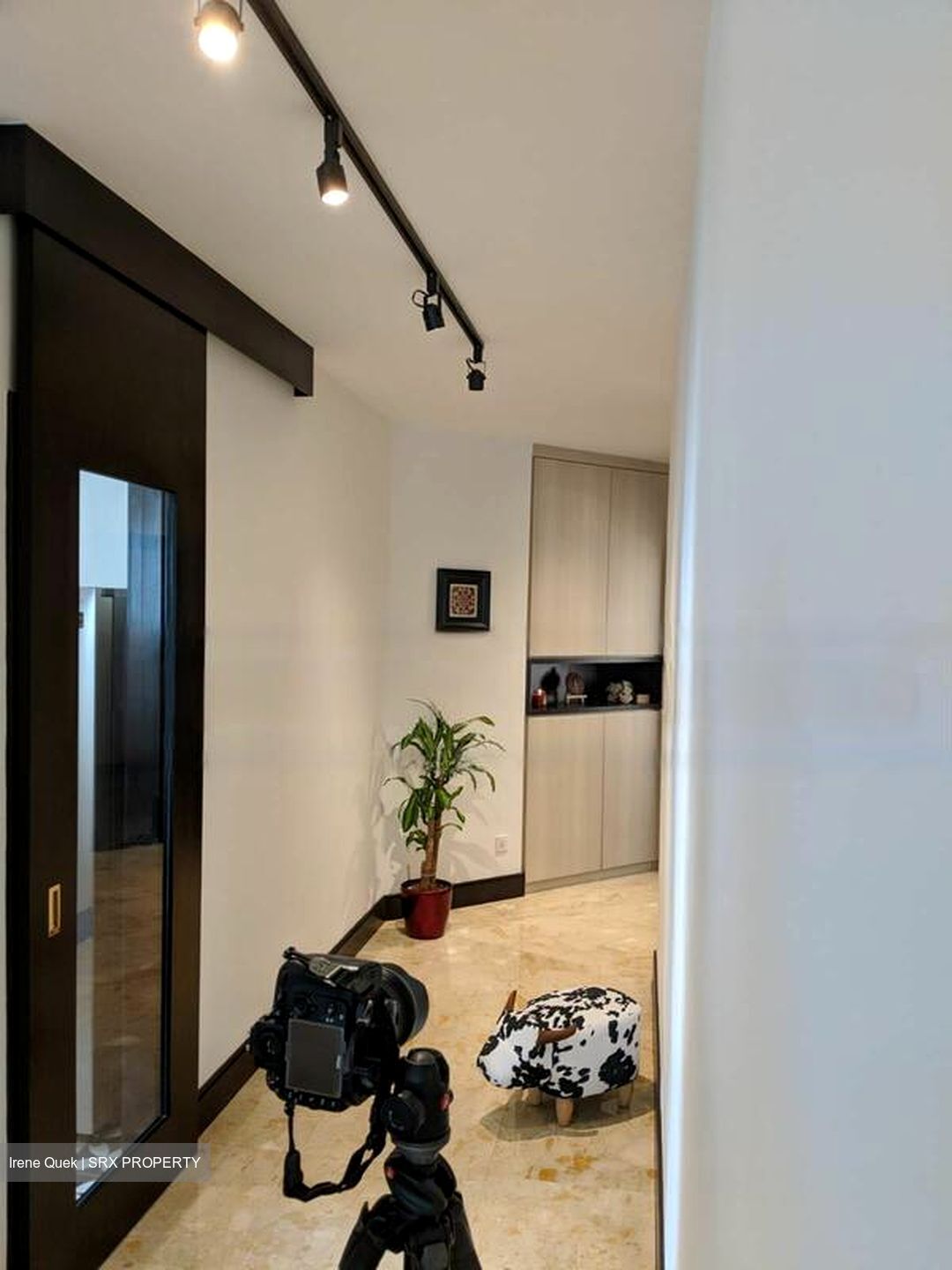 Harvest Mansions (D3), Apartment #616985381